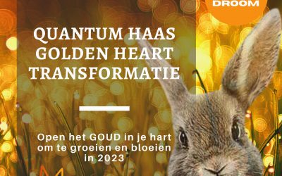 Quantum HAAS Golden Heart Transformatietraject