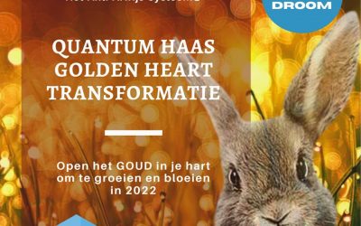 Quantum HAAS Golden Heart Transformatieprogramma